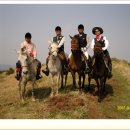 훼밀리승마클럽 이미지