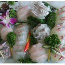 대포해송 이미지