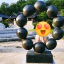다이소경남 이미지