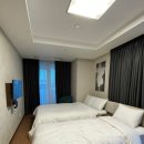 팰릭스바이에스티엑스 네이버블로그