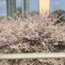 서울문덕초등학교 이미지