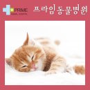 구리동물병원