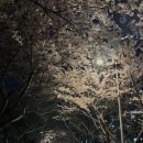 멍글몽글 이미지