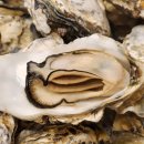 찌마기 연신내점 이미지