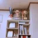 혁신이지태권도전주본관 이미지