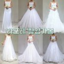 라포레 촬영가봉 후기 (25년 5월, 스튜디오 멜로필드)