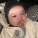 푸페푸페