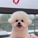 쓰리빈 이미지
