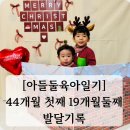 다은동물병원 | [아들둘육아일기]44개월첫째 19개월둘째 발달기록 - 발달센터6개월, 44개월발달, 19개월언어발달, 아이...