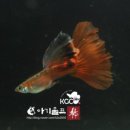 인암슈퍼