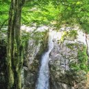 증산수도계곡캠핑장 이미지