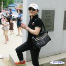 춘하추동 이미지