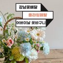 강남미래타워 | 강남꽃배달 어버이날꽃바구니 추천하는 플라잉페탈