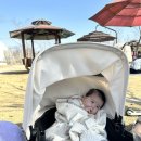 평택시 농업생태원3 | 평택 아이랑 가볼만한곳 천안아산 가볼만한곳 평택시농업생태원 2.28방문후기