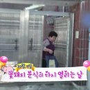 떡볶기집 이미지