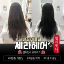 세라헤어샵 - 순천시 | 시흥 미용실 세라헤어 배곧 헤어샵 추천 애쉬브라운 톤다운염색