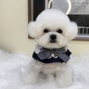 뽀프퍼피(POFF PUPPY) 이미지