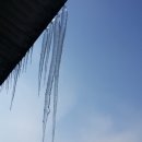 김영농장 이미지