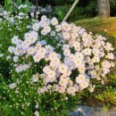 수미초등 이미지