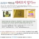 [강력항의]공익광고-공공장소 애완동물 데려오지 말기 이미지