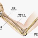 고유필라테스&자이로토닉