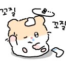 오라이포차수구레국밥