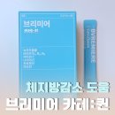 체지방감소 도움 추천 | 간편하게 챙기는 브리미어 카테:퀸 후기