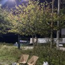 안흥유원지 | 여수 차박 장소 추천 돌산 무슬목 해변 앞 주차장