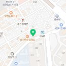 부산고양이분양 그린캣 이미지