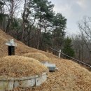 김선규농장 Daum카페