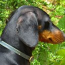 학익고등학교 이미지