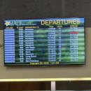 ㈜알와이이투어 | 하와이 마우이섬 앓이 (그랜드 와일레아 월도프 아스토리아 후기)