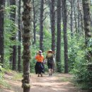 탄금대로 이미지