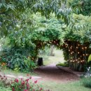 소풍길 들꽃산책 이미지