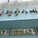 멍뭉이샵 이미지