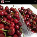 초이농장 | 초이농장 경주체리 택배 판매합니다❤️ (농장 직거래) <판매완료>