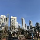 크로바주택 | [대전부동산임장]대전 20대 신혼부부 내집마련기 부동산 임장 후기(둔산동 크로바아파트)