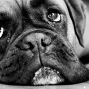 하얀마음 이미지