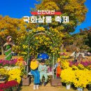 국화살롱