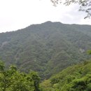 박지산(두타산) 이미지