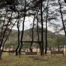 장풍숲화장실 이미지