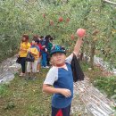 달천초등학교매현분교장 이미지