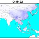분포로 이미지