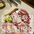 달동돼지달돈 이미지