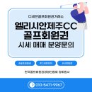 GS25 제주평화로점 | 엘리시안제주CC 회원권 시세 및 혜택 총정리: GS건설의 품격, 골프와 콘도를 동시에 잡는 법