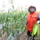 카레공간 - 부천시 원미구 소향로 111 | 카레공간