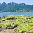 하도 해변 이미지