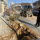 이수내과의원 이미지