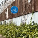 7단지(스무숲 2공원) | [서울 데이트 추천] 용산 미군 기지 장교 숙소 5단지, 포토스팟 핫플에서 인생샷 특템 후기