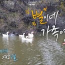 달과7펜스 이미지
